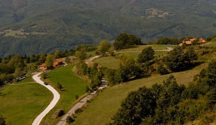Agriturismo Il Serrino Сан-Марчелло-Пістоєзе Екстер'єр фото