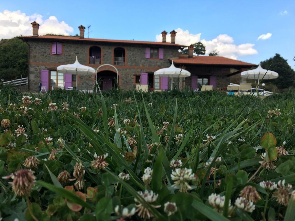 Agriturismo Il Serrino Сан-Марчелло-Пістоєзе Екстер'єр фото